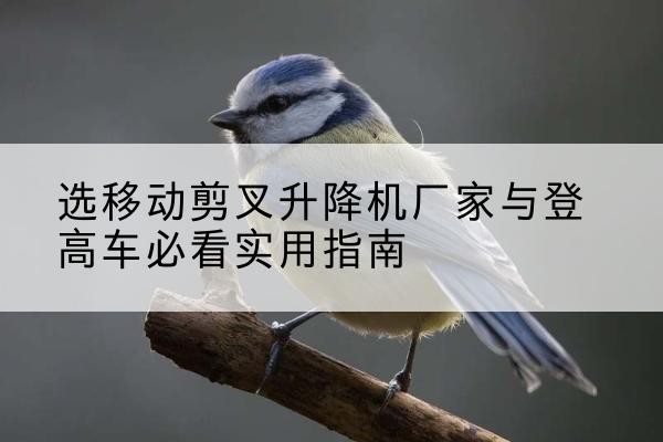 肇东电动升降机厂家-选移动剪叉升降机厂家与登高车必看实用指南