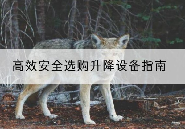 肇东升降货梯厂家推荐-*安全选购升降设备指南