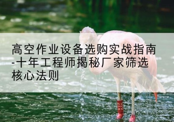 肇东剪叉式升降机厂家-高空作业设备选购实战指南-十年工程师揭秘厂家筛选核心法则