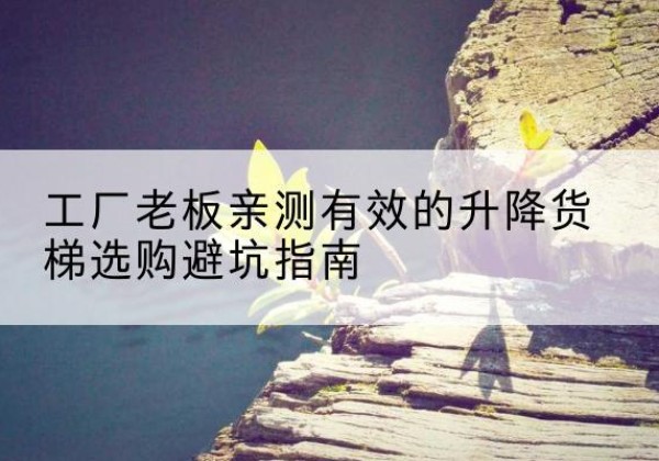 肇东升降货梯怎么选-工厂老板亲测有效的升降货梯选购避坑指南